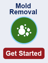 mold remediation in Simi Valley TN
